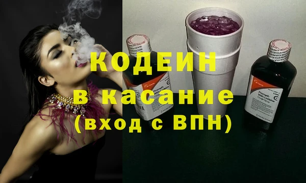 дживик Няндома