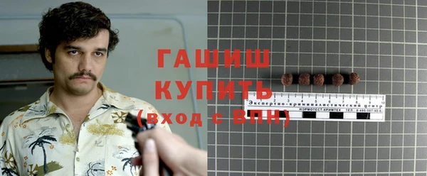 дживик Няндома
