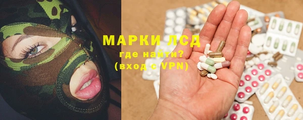 дживик Няндома