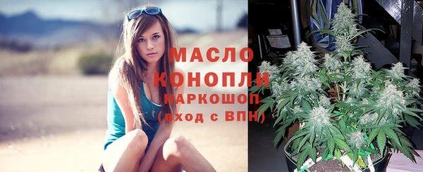 дживик Няндома