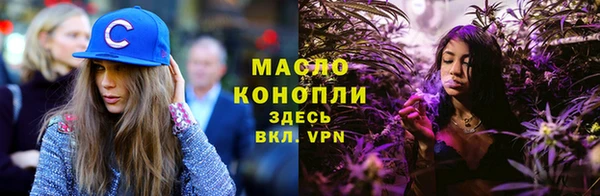 дживик Няндома