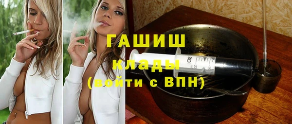 дживик Няндома
