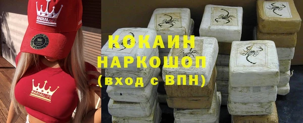 дживик Няндома