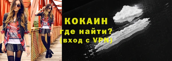 дживик Няндома