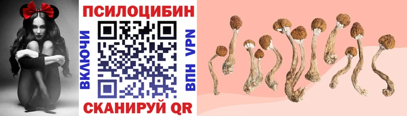 MEGA ТОР  Пушкино  Галлюциногенные грибы GOLDEN TEACHER  цена  